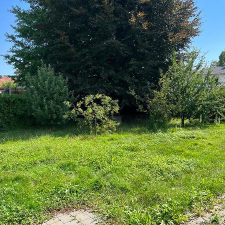 Orkhan Latifov Höchst Exteriör bild