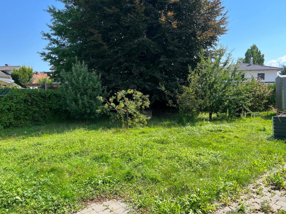 Orkhan Latifov Höchst Exteriör bild